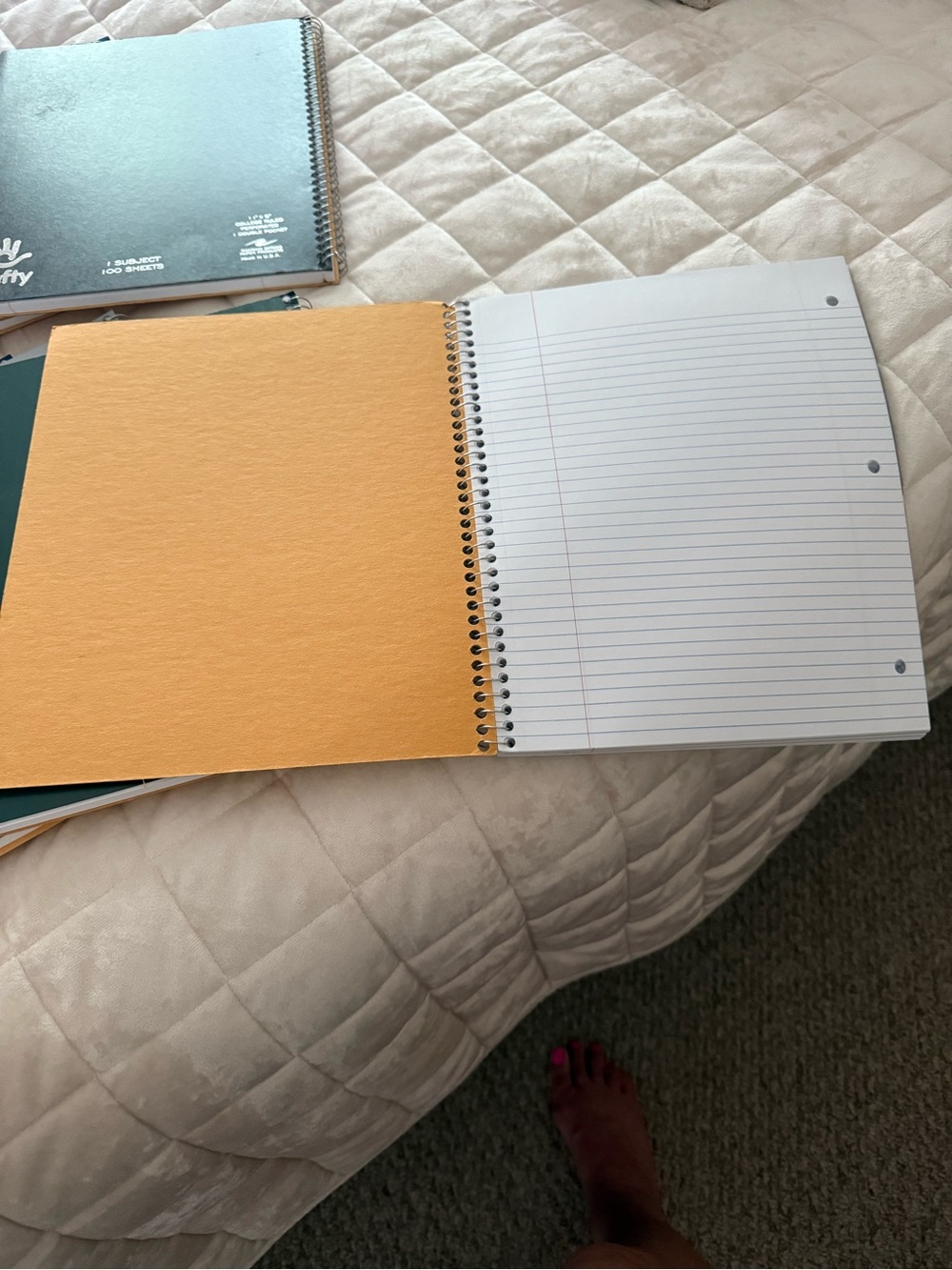 Roaring Spring Lefty Subject College Ruled Left Handed Spiral Notebooks Lot of 8 - Picture 4 of 5